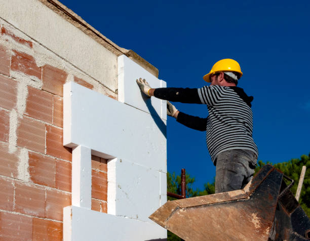 Best Energy-efficient Insulation  in Quitman, MS