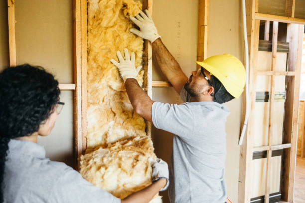 Insulation Inspection Services in Quitman, MS